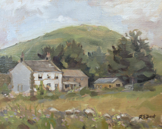 Back Across The Field